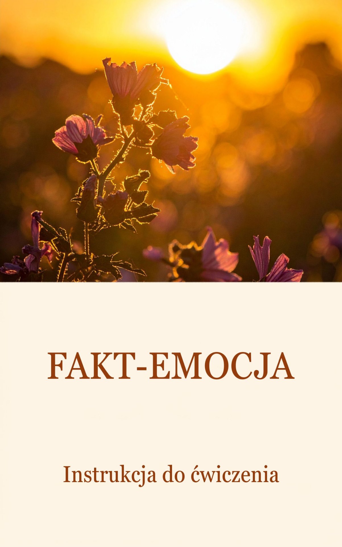Fakt – Emocja – Instrukcja (ćwiczenie IAH)
