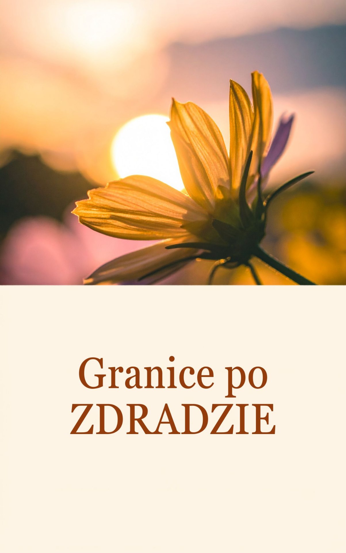 Granice po zdradzie